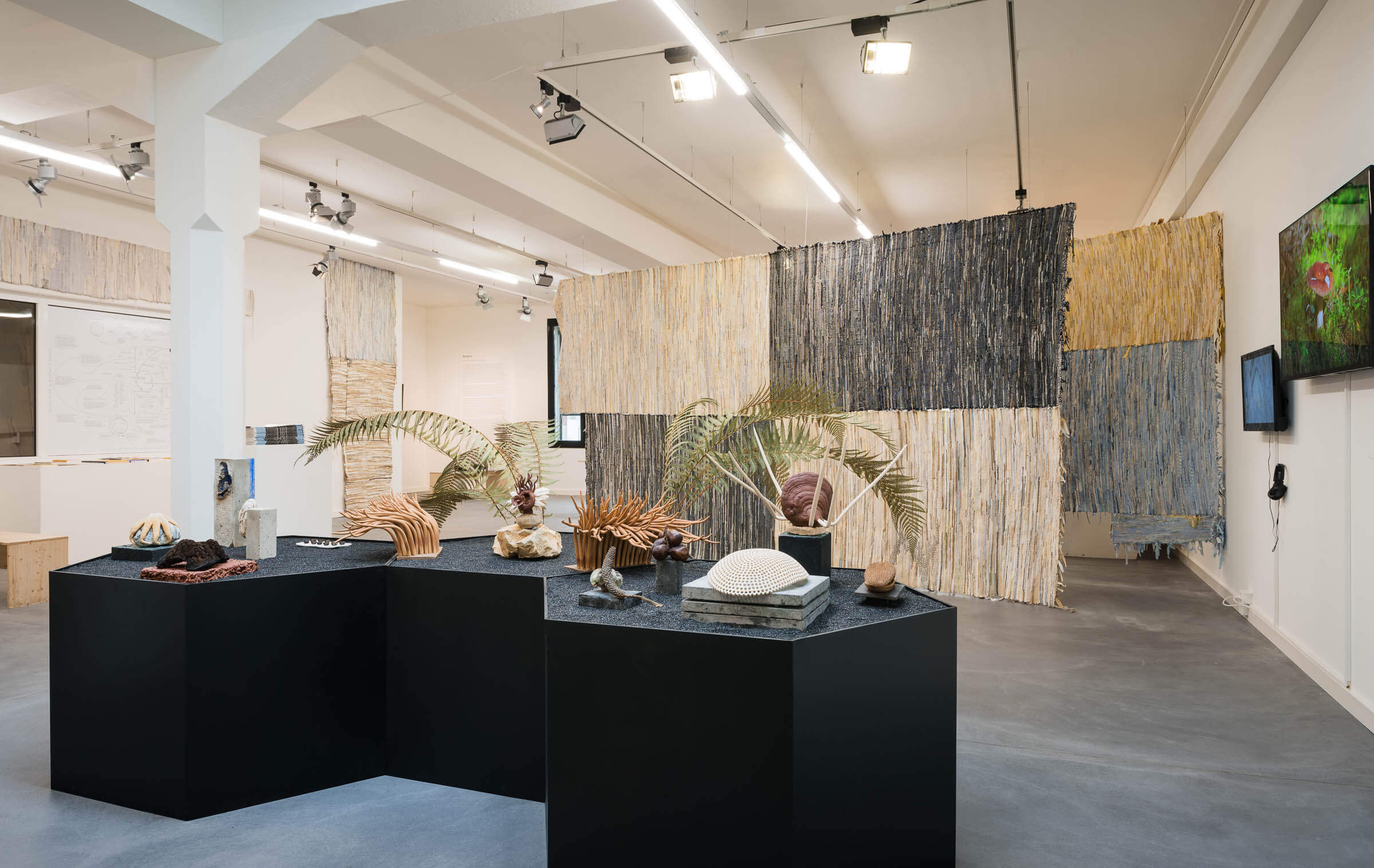 Eventfotograf Baden 23