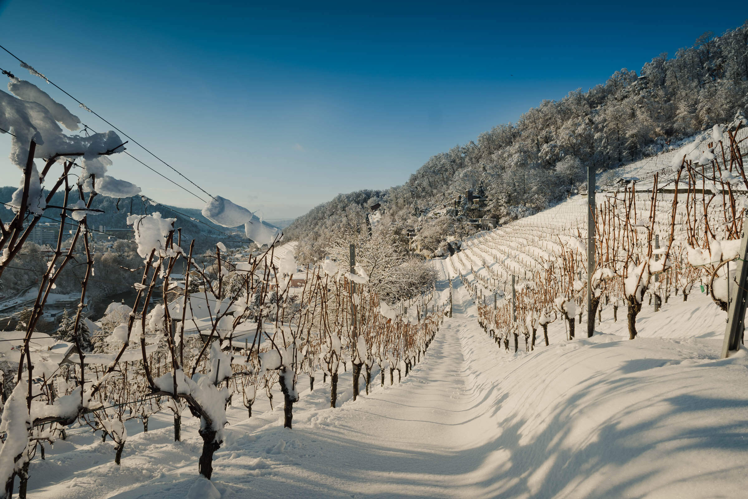 12 Ennetbaden Jahrhundertschnee
