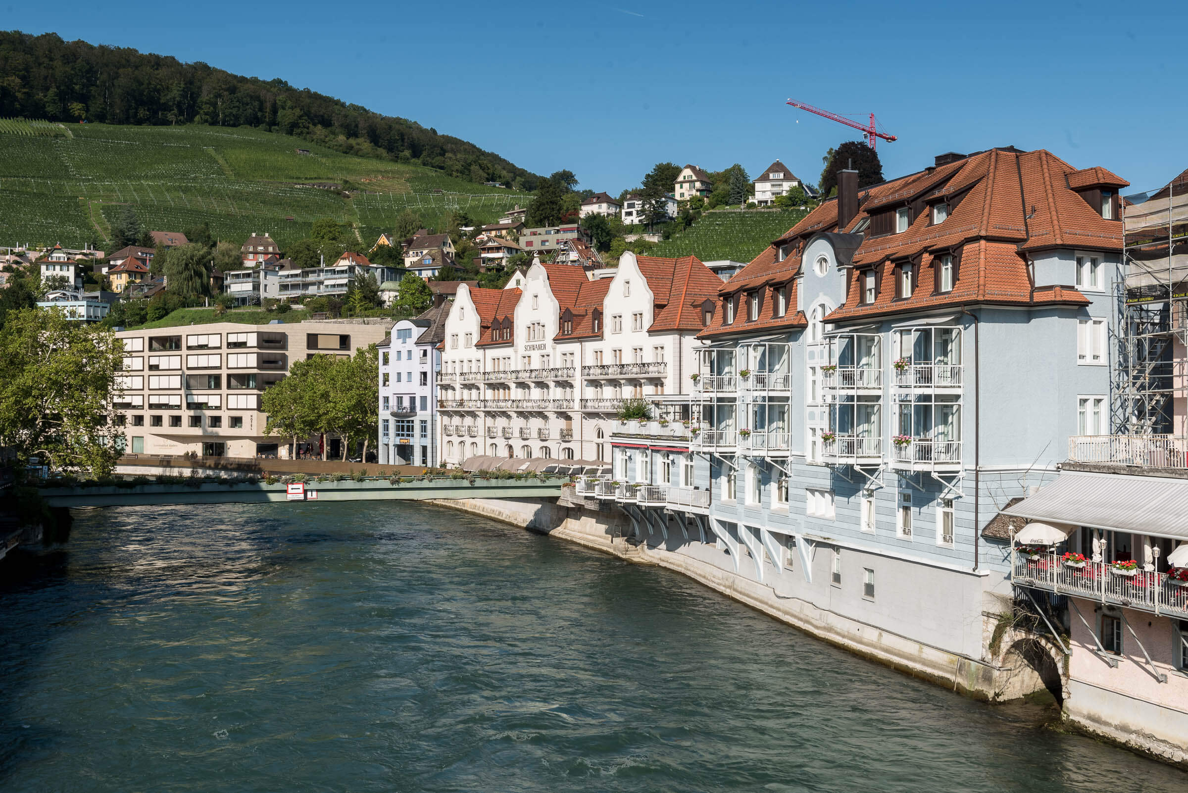 22 Schwanen Ennetbaden