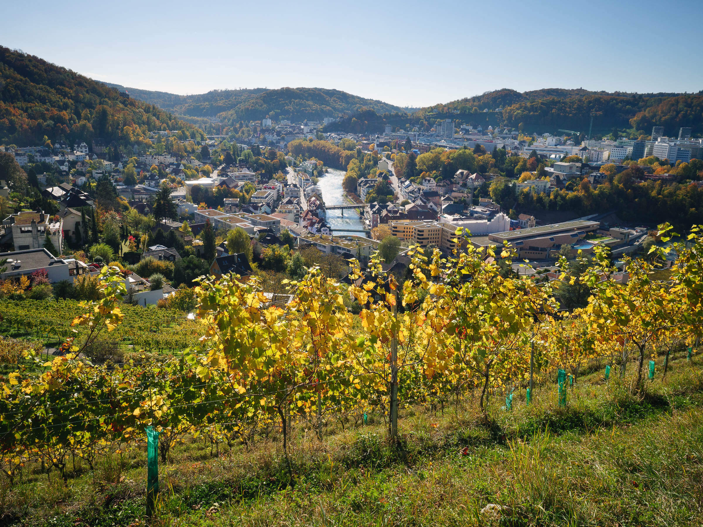 36 Goldwand Ennetbaden